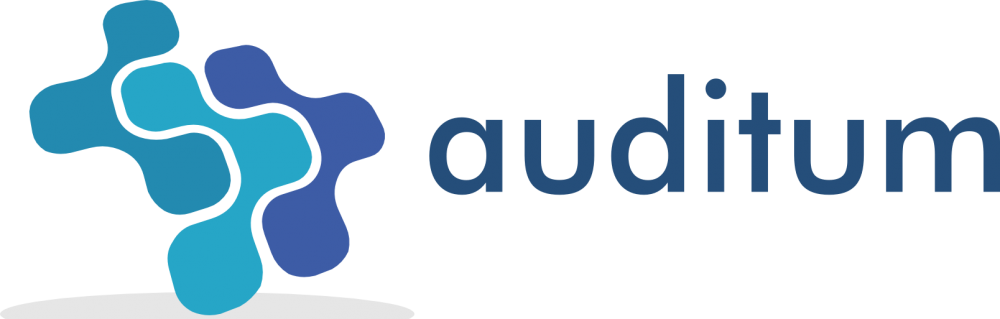 Biuro Rachunkowe Auditum